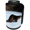 3dRose Danita Delimont - River Otter - River Otter, Lutra canadensis, running in snow, Montana - Can Cooler Bottle Wrap (cc_251190)