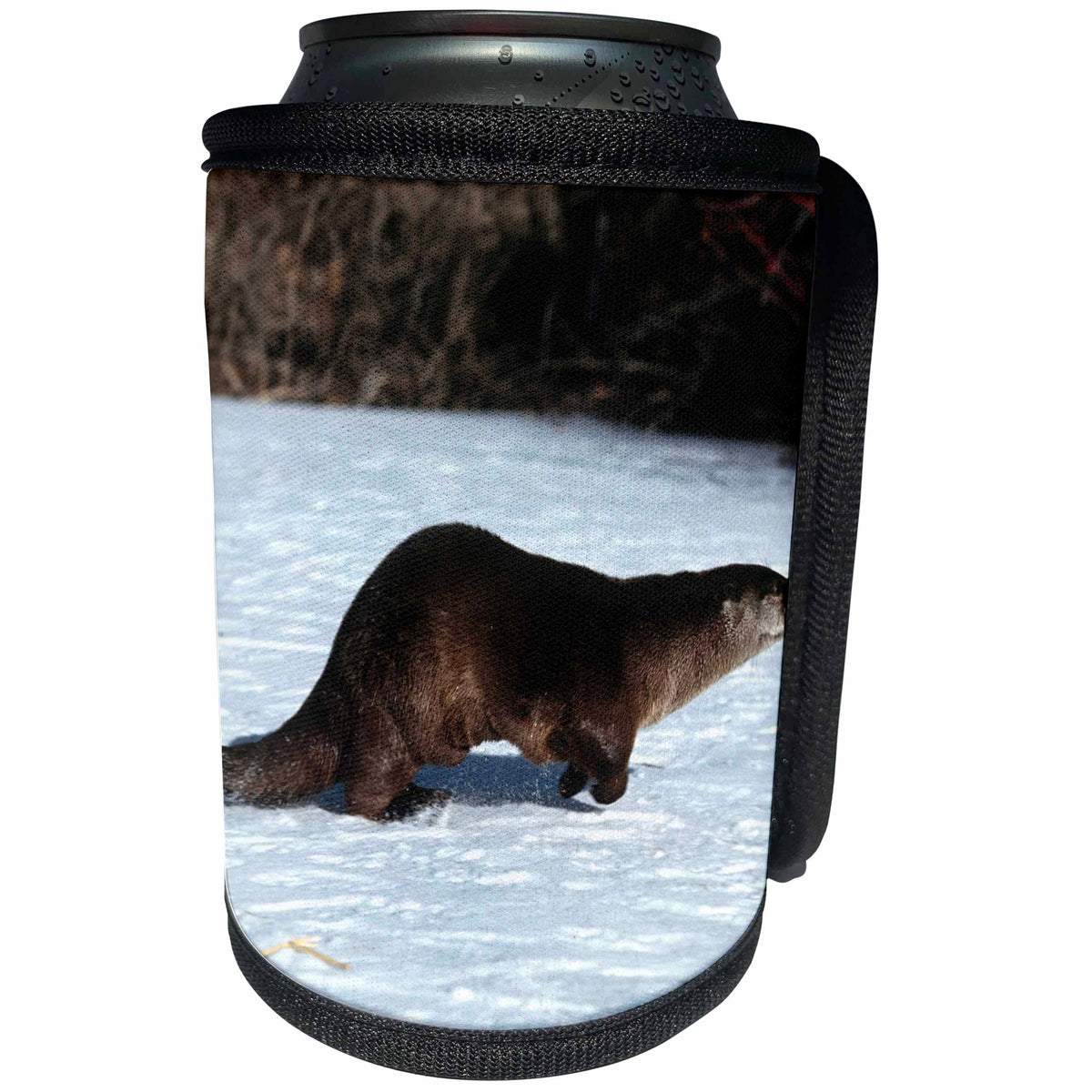 3dRose Danita Delimont - River Otter - River Otter, Lutra canadensis, running in snow, Montana - Can Cooler Bottle Wrap (cc_251190)
