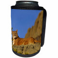 3dRose Danita Delimont - Mountain Lion - Captive Mountain Lion on ledge, Montana - Can Cooler Bottle Wrap (cc_251191)