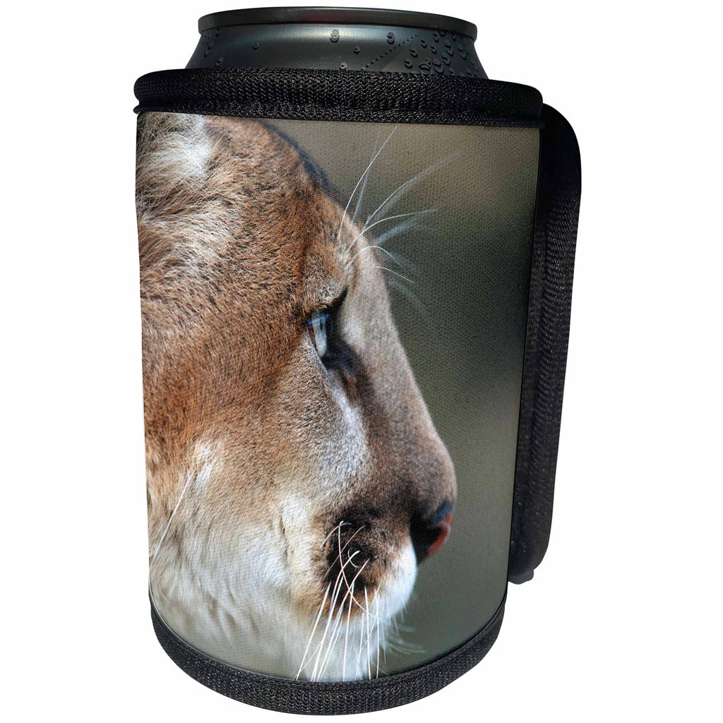 3dRose Danita Delimont - Mountain Lion - Profile of head of captive Mountain Lion, Montana - Can Cooler Bottle Wrap (cc_251192)