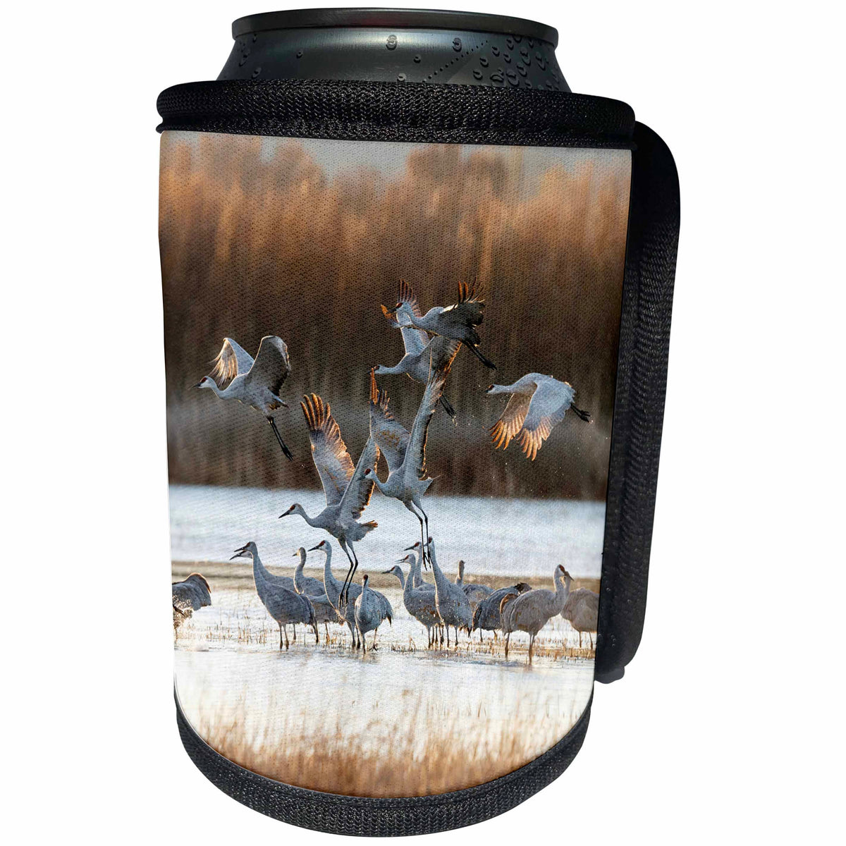 3dRose Sandhill Cranes flying, Bosque del Apache National... - Can Cooler Bottle Wrap (cc_251276)