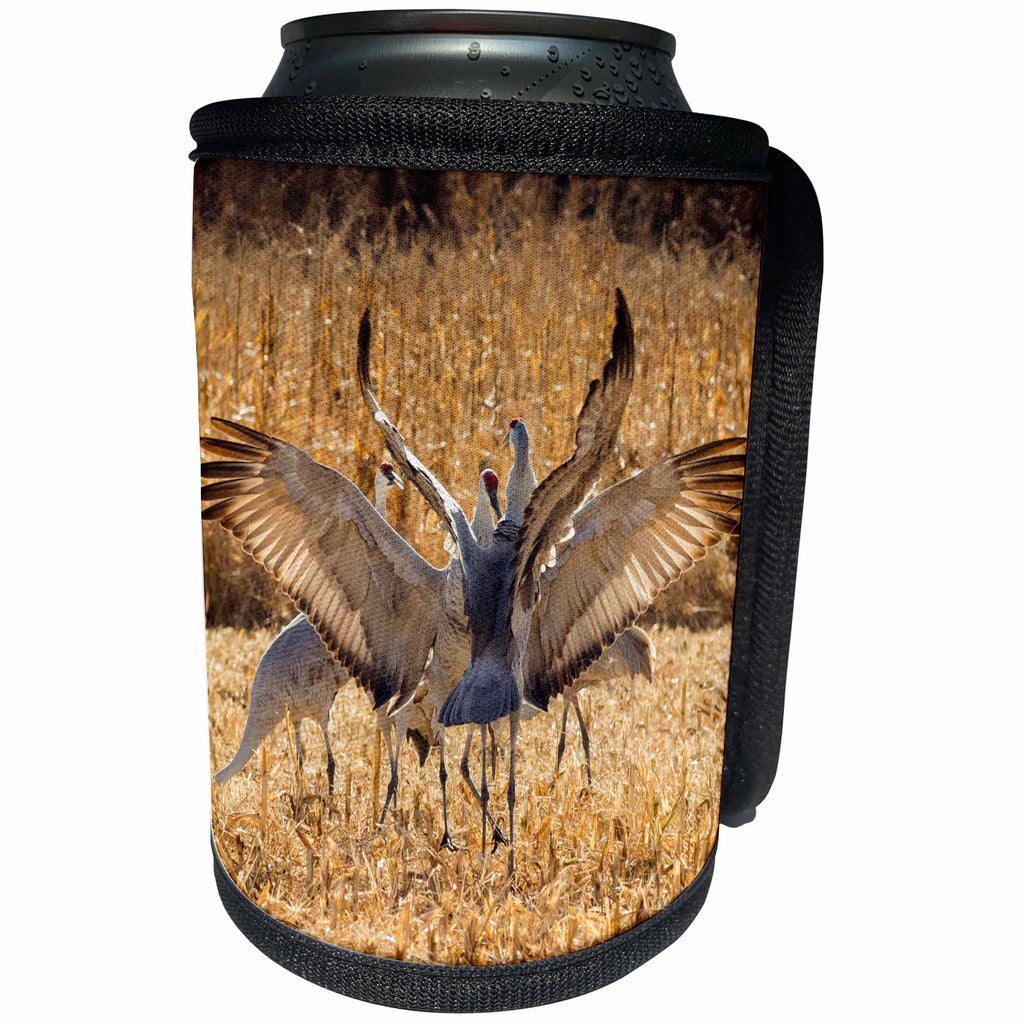 3dRose Danita Delimont - Crane - Sandhill Cranes in corn field, Bosque del Apache NWR 01 - Can Cooler Bottle Wrap (cc_251278)