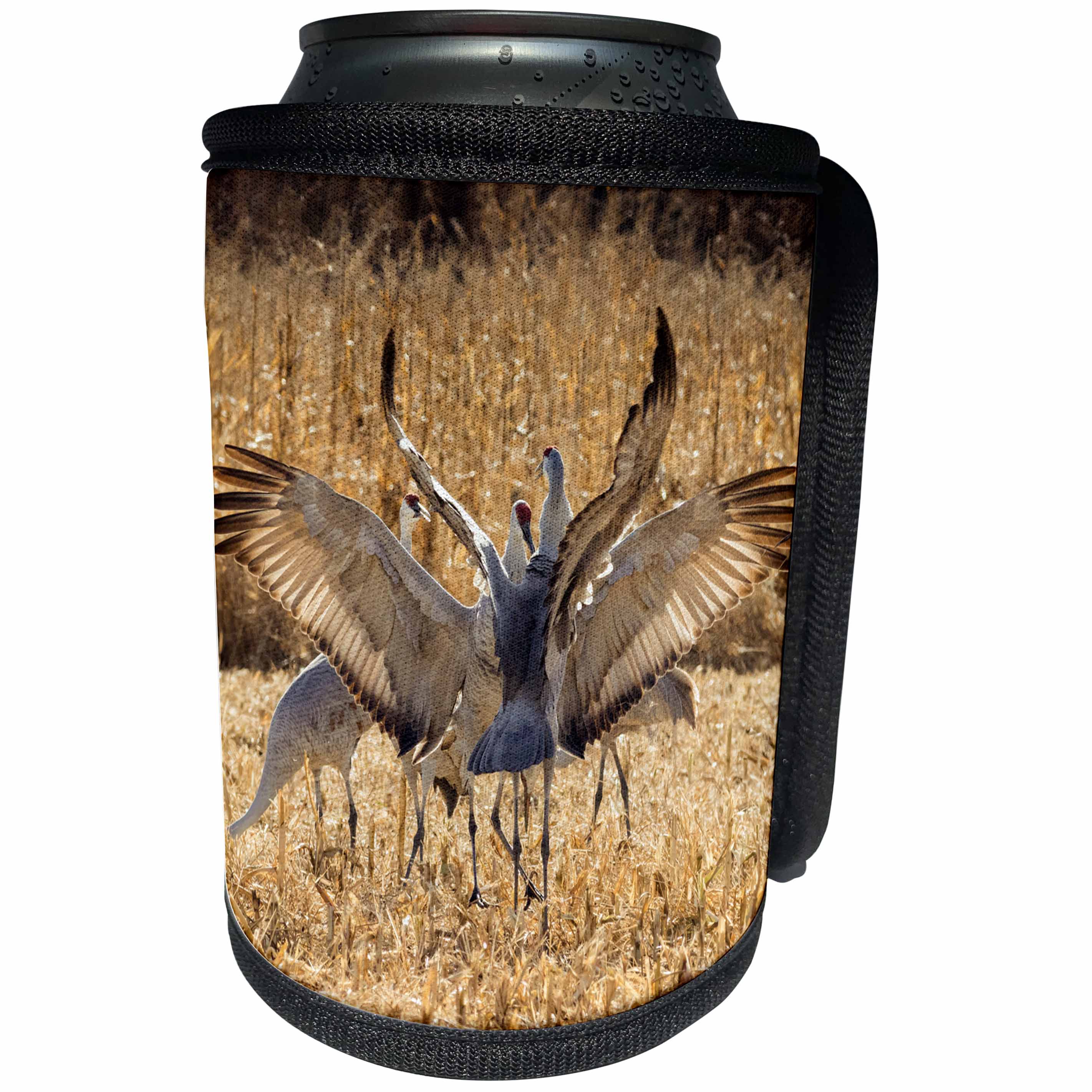 3dRose Danita Delimont - Crane - Sandhill Cranes in corn field, Bosque del Apache NWR 01 - Can Cooler Bottle Wrap (cc_251278)