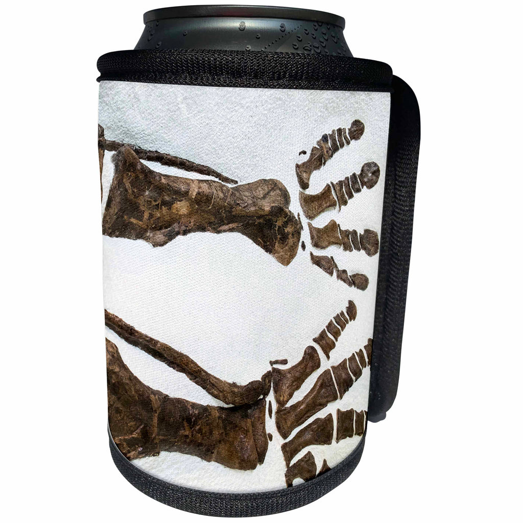 3dRose Danita Delimont - New York City - Fossilized dinosaur bones, Museum of Natural History, New York City - Can Cooler Bottle Wrap (cc_251293)