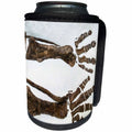 3dRose Danita Delimont - New York City - Fossilized dinosaur bones, Museum of Natural History, New York City - Can Cooler Bottle Wrap (cc_251293)