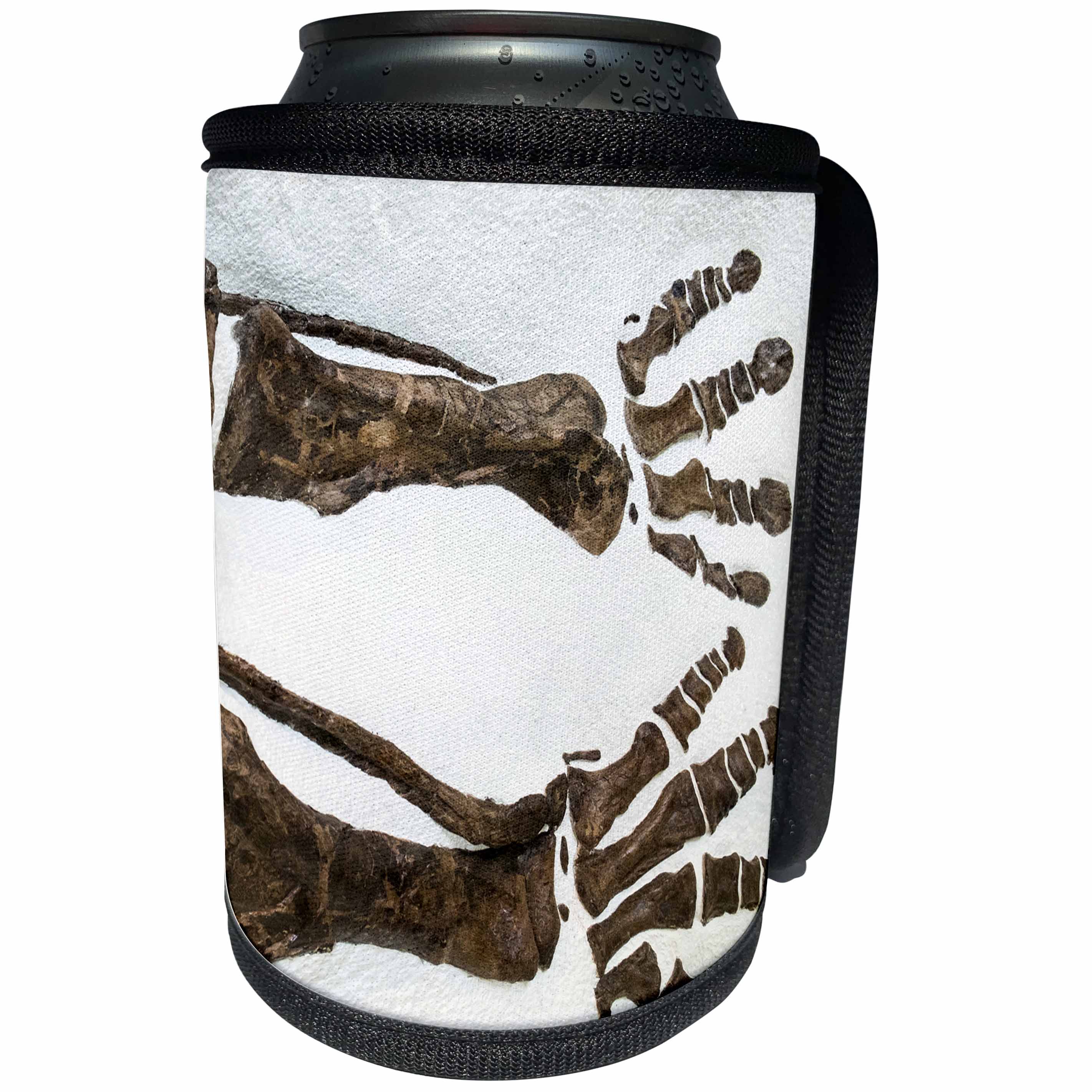 3dRose Danita Delimont - New York City - Fossilized dinosaur bones, Museum of Natural History, New York City - Can Cooler Bottle Wrap (cc_251293)