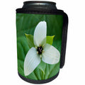 3dRose Danita Delimont - Blue Ridge Parkway - North Carolina, Blue Ridge Parkway, White trillium blooming - Can Cooler Bottle Wrap (cc_251298)