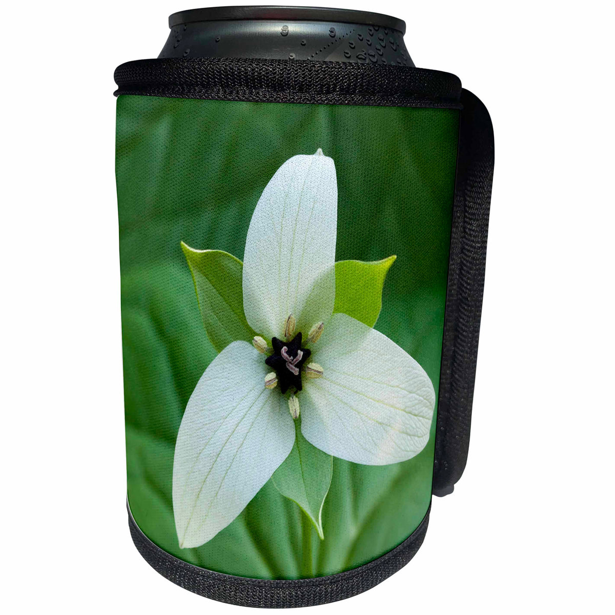 3dRose Danita Delimont - Blue Ridge Parkway - North Carolina, Blue Ridge Parkway, White trillium blooming - Can Cooler Bottle Wrap (cc_251298)