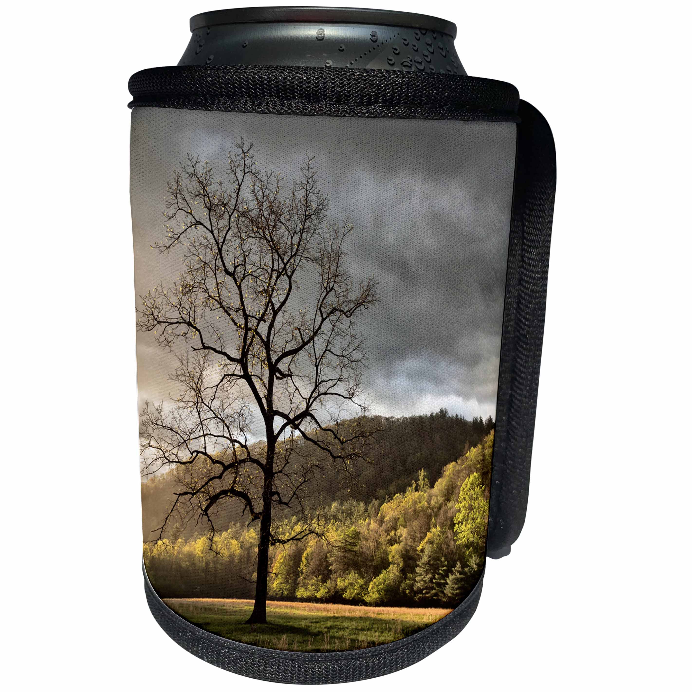 3dRose Danita Delimont - Great Smoky Mountains - North Carolina, Great Smoky Mountains NP, Cataloochee Valley. - Can Cooler Bottle Wrap (cc_251302)