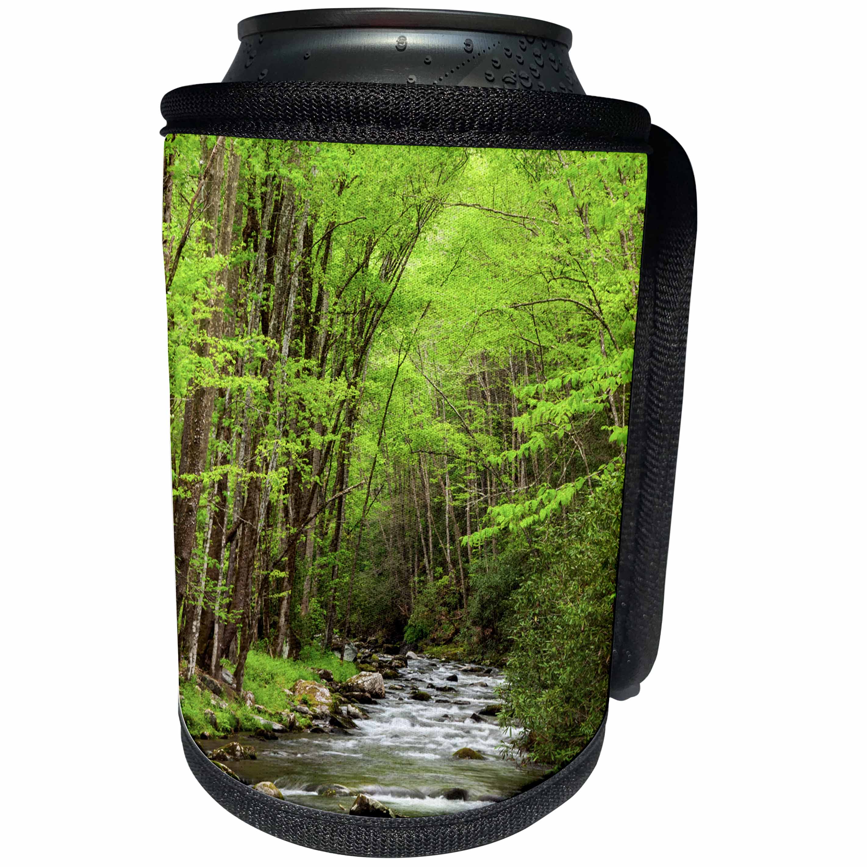 3dRose Danita Delimont - Great Smoky Mountains - North Carolina, Great Smoky Mountains National Park, Straight Fork - Can Cooler Bottle Wrap (cc_251303)