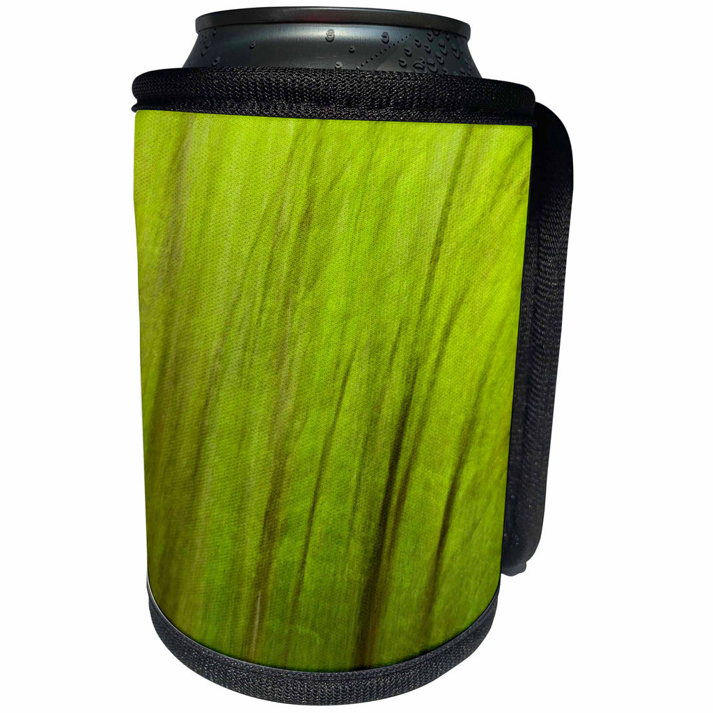 3dRose Danita Delimont - Great Smoky Mountains - North Carolina, Great Smoky Mountains National Park, blurred trees - Can Cooler Bottle Wrap (cc_251304)