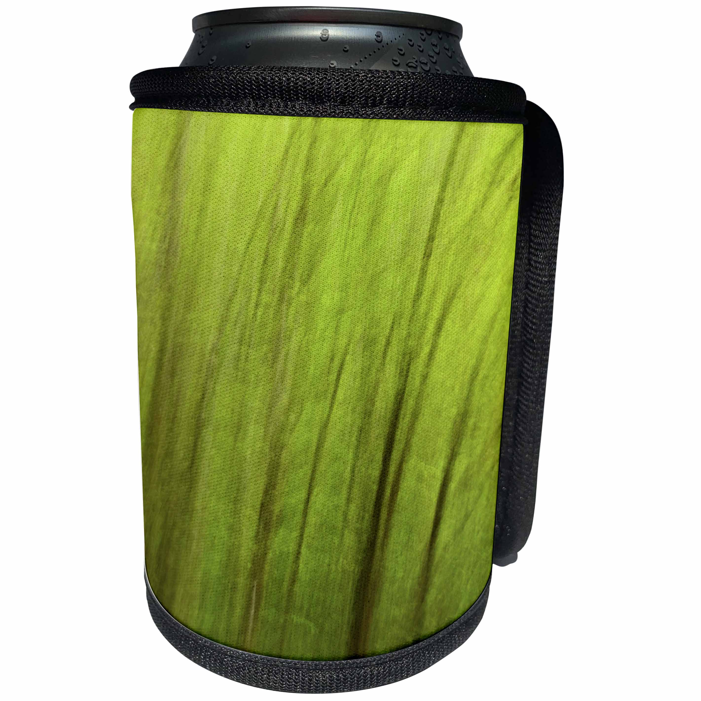 3dRose Danita Delimont - Great Smoky Mountains - North Carolina, Great Smoky Mountains National Park, blurred trees - Can Cooler Bottle Wrap (cc_251304)