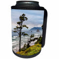 3dRose Danita Delimont - Cannon Beach - Oregon, Cannon Beach, View of Haystack Rock - Can Cooler Bottle Wrap (cc_251308)