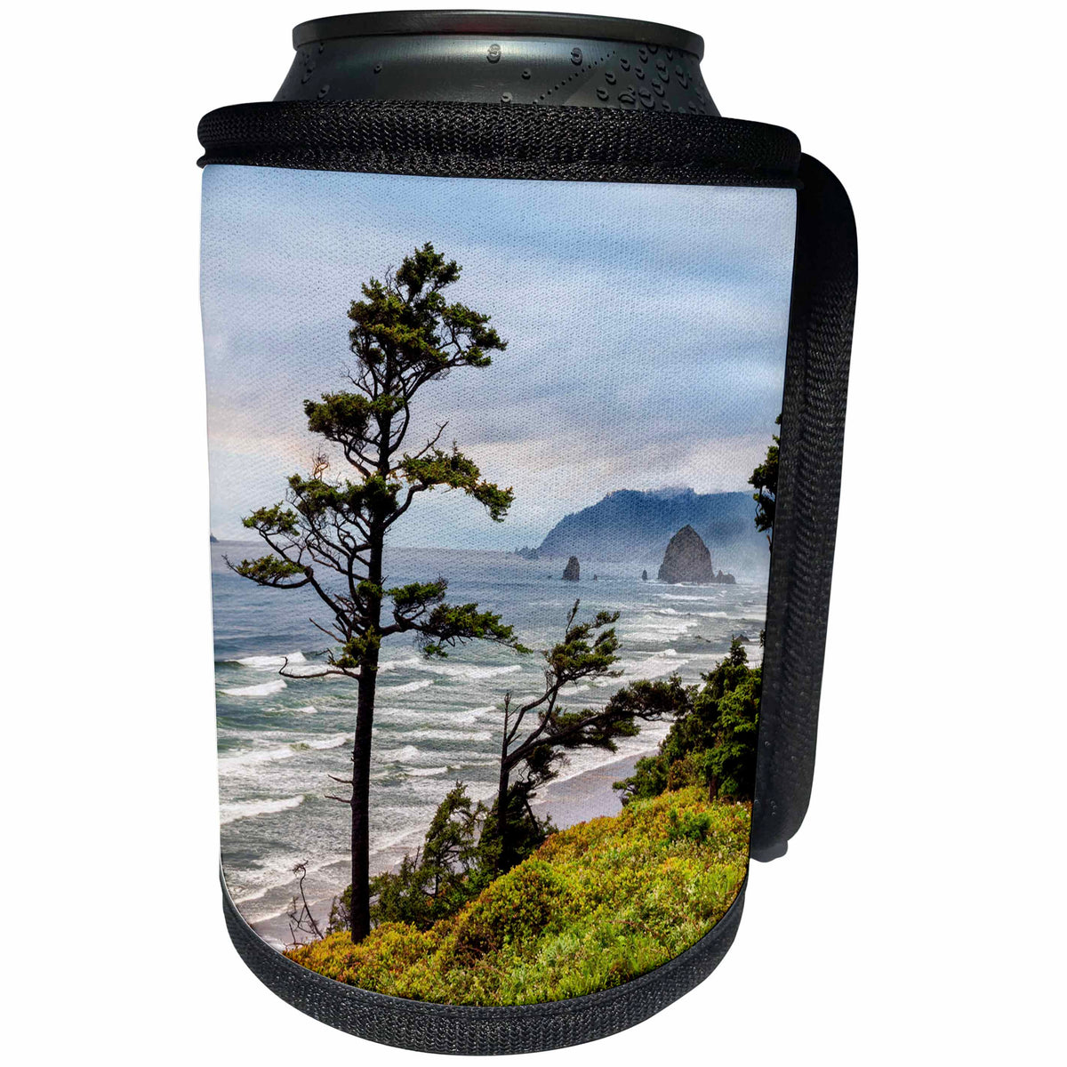 3dRose Danita Delimont - Cannon Beach - Oregon, Cannon Beach, View of Haystack Rock - Can Cooler Bottle Wrap (cc_251308)