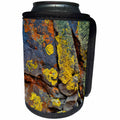3dRose Danita Delimont - Oregon - Oregon, Deschutes National Forest. Lichen covered basalt rock. - Can Cooler Bottle Wrap (cc_251314)