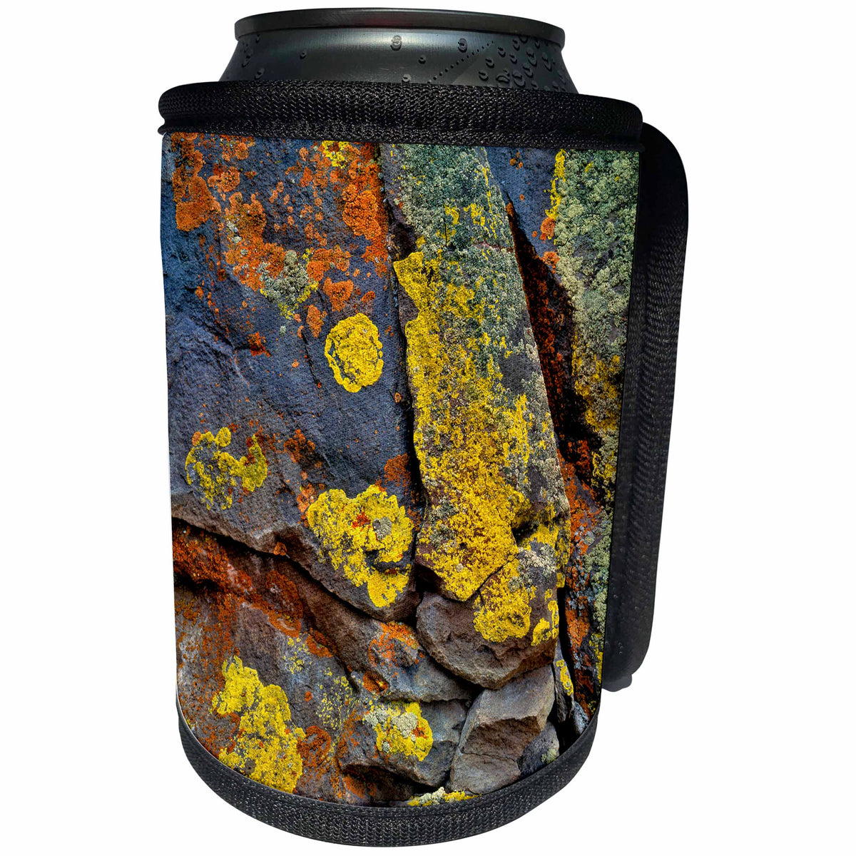 3dRose Danita Delimont - Oregon - Oregon, Deschutes National Forest. Lichen covered basalt rock. - Can Cooler Bottle Wrap (cc_251314)