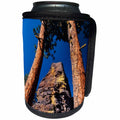 3dRose Danita Delimont - Oregon - Oregon, Gearhart Mountain Wilderness. Trees frame rock formation. - Can Cooler Bottle Wrap (cc_251316)