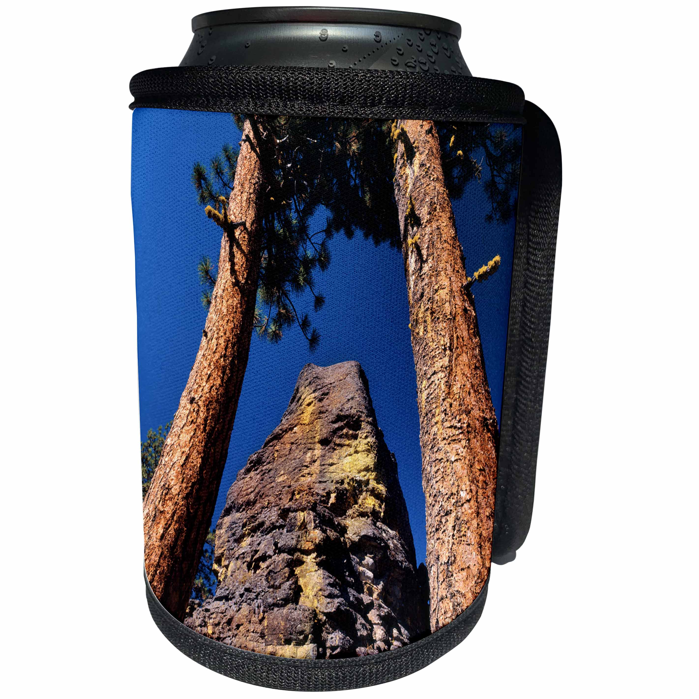 3dRose Danita Delimont - Oregon - Oregon, Gearhart Mountain Wilderness. Trees frame rock formation. - Can Cooler Bottle Wrap (cc_251316)