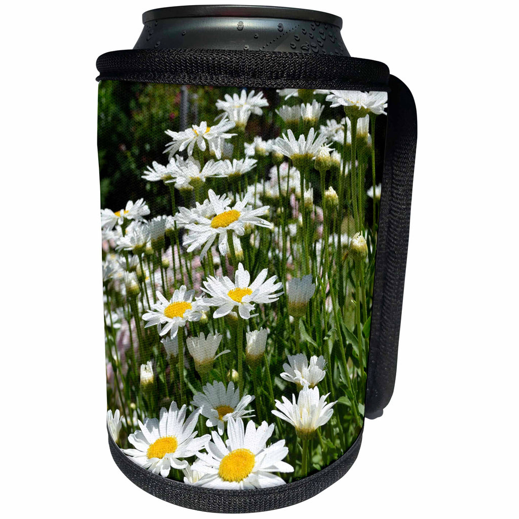 3dRose Patricia Sanders Flowers - Daisies in a Field - Can Cooler Bottle Wrap (cc_25132)