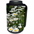 3dRose Patricia Sanders Flowers - Daisies in a Field - Can Cooler Bottle Wrap (cc_25132)