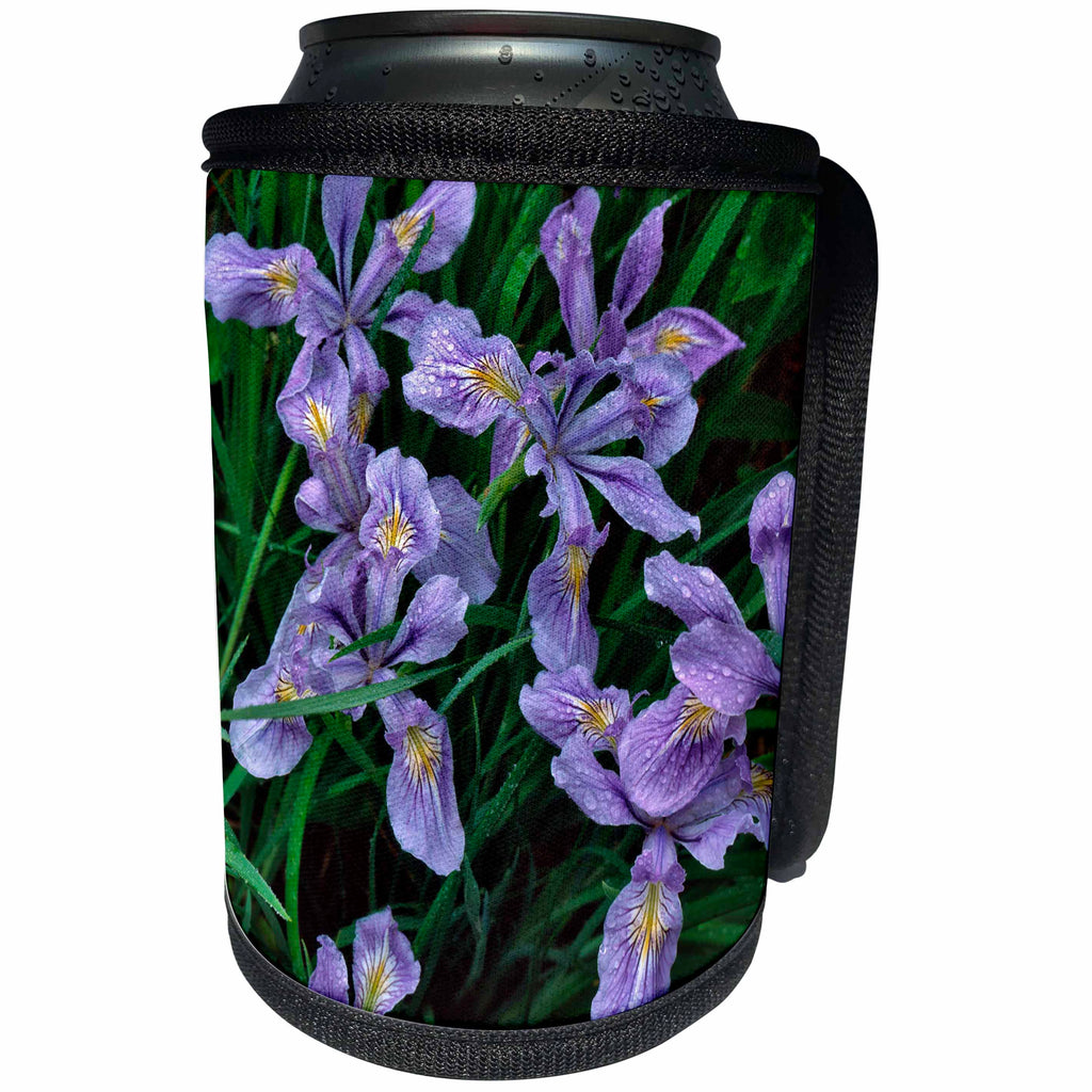 3dRose Danita Delimont - Mt Hood - Oregon, Mt Hood National Forest. Wild iris close-up. - Can Cooler Bottle Wrap (cc_251320)