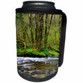 3dRose Danita Delimont - Oregon - Oregon, Tillamook State Forest. Scenic of Wilson River. - Can Cooler Bottle Wrap (cc_251329)