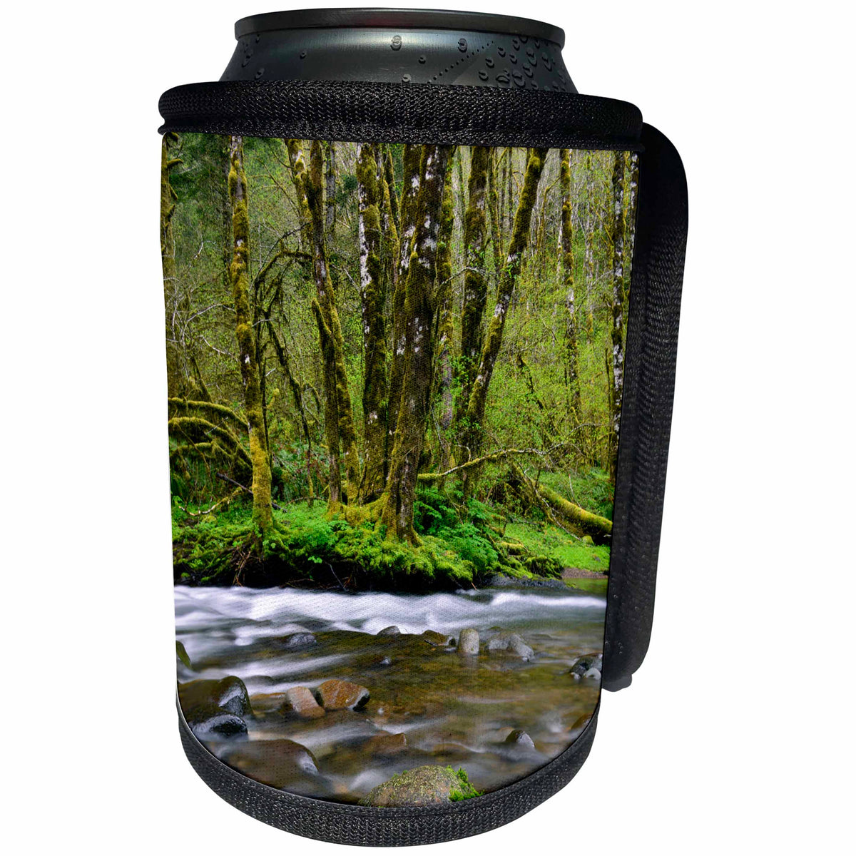 3dRose Danita Delimont - Oregon - Oregon, Tillamook State Forest. Scenic of Wilson River. - Can Cooler Bottle Wrap (cc_251329)
