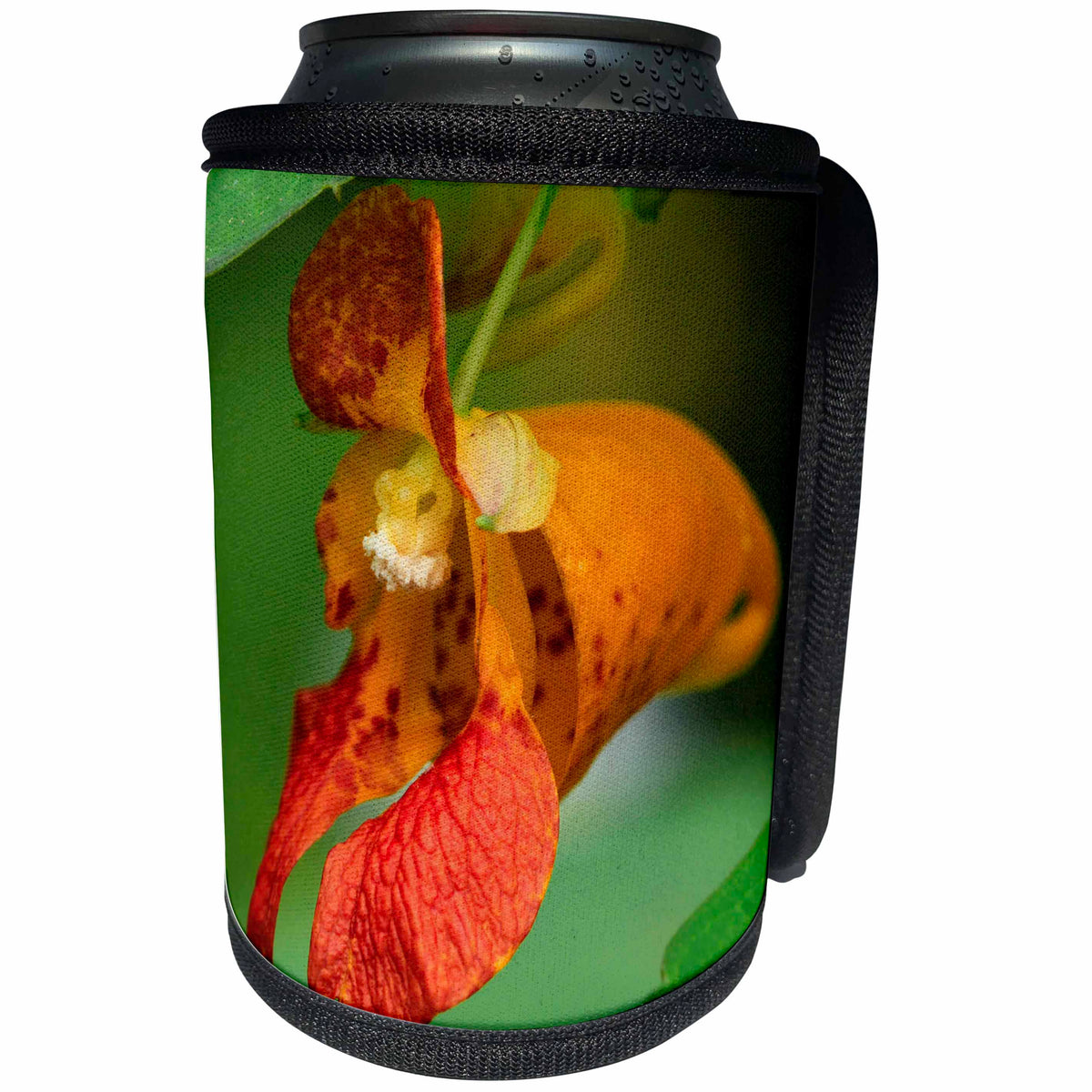 3dRose Danita Delimont - Oregon - Oregon. Close-up of jewelweed flower. - Can Cooler Bottle Wrap (cc_251330)