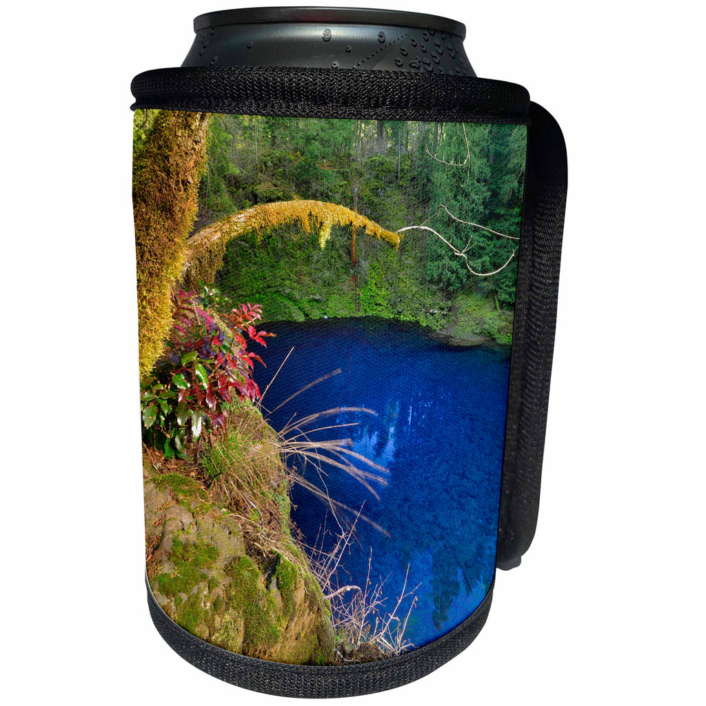 3dRose Danita Delimont - Oregon - Oregon. Blue or Tamolitch Pool on McKenzie River. - Can Cooler Bottle Wrap (cc_251334)