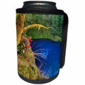 3dRose Danita Delimont - Oregon - Oregon. Blue or Tamolitch Pool on McKenzie River. - Can Cooler Bottle Wrap (cc_251334)