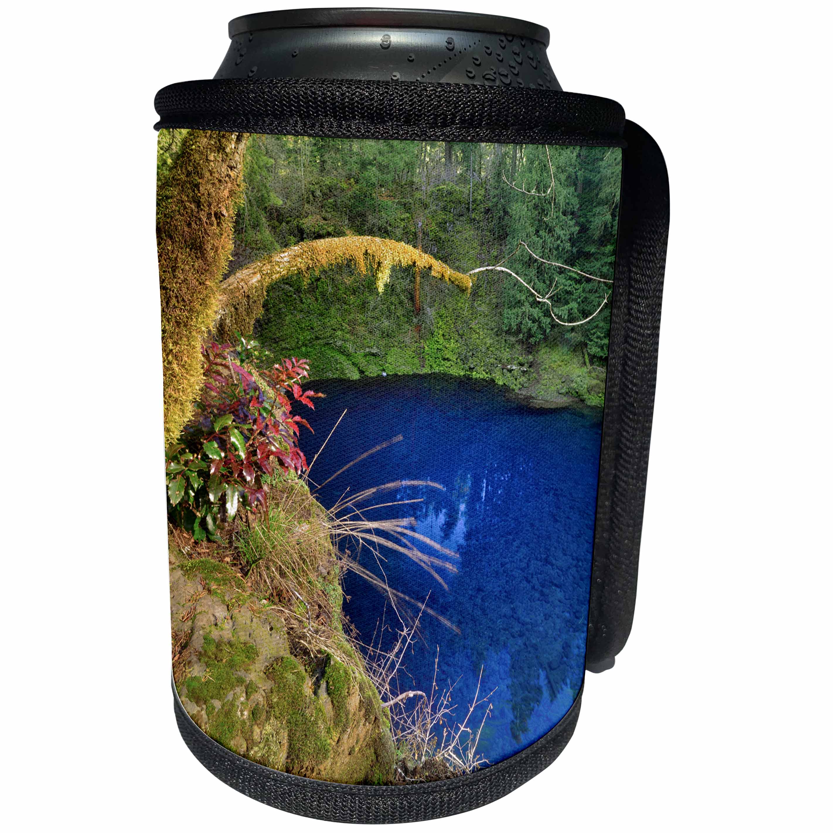 3dRose Danita Delimont - Oregon - Oregon. Blue or Tamolitch Pool on McKenzie River. - Can Cooler Bottle Wrap (cc_251334)