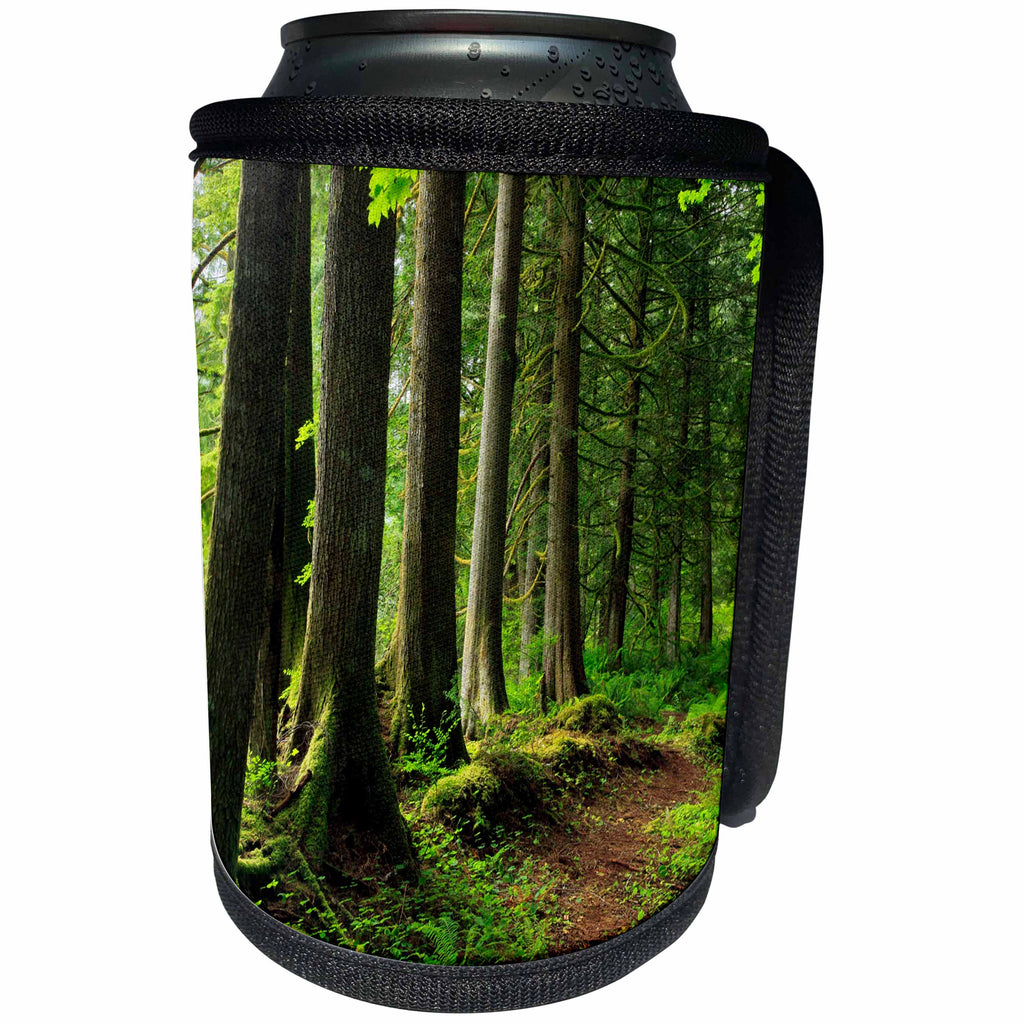 3dRose Danita Delimont - Oregon - Oregon. Forest trail scenic, row of trees. - Can Cooler Bottle Wrap (cc_251338)
