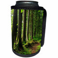 3dRose Danita Delimont - Oregon - Oregon. Forest trail scenic, row of trees. - Can Cooler Bottle Wrap (cc_251338)