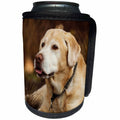 3dRose Danita Delimont - Dog - Oregon, Keizer, Labrador Retriever in backyard. - Can Cooler Bottle Wrap (cc_251352)