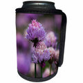 3dRose Danita Delimont - Oregon - Oregon, Keizer, chives in the backyard. - Can Cooler Bottle Wrap (cc_251353)