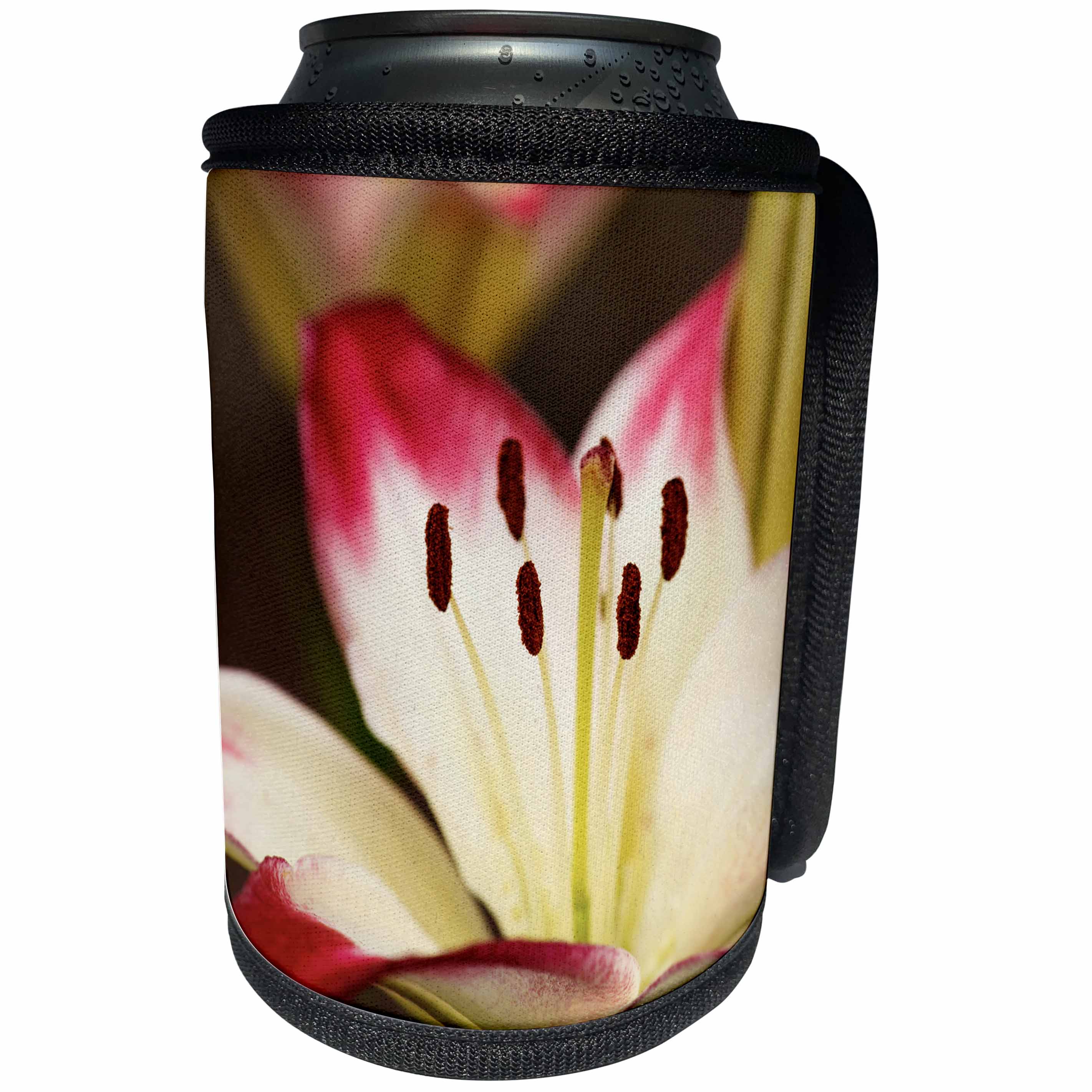 3dRose Danita Delimont - Oregon - Oregon, Keizer, cultivated Day Lily - Can Cooler Bottle Wrap (cc_251355)