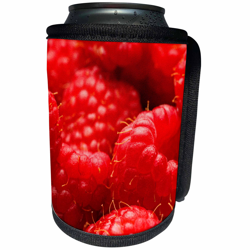 3dRose Danita Delimont - Fruit - Oregon, Keizer, locally grown raspberries. - Can Cooler Bottle Wrap (cc_251359)
