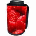 3dRose Danita Delimont - Fruit - Oregon, Keizer, locally grown raspberries. - Can Cooler Bottle Wrap (cc_251359)