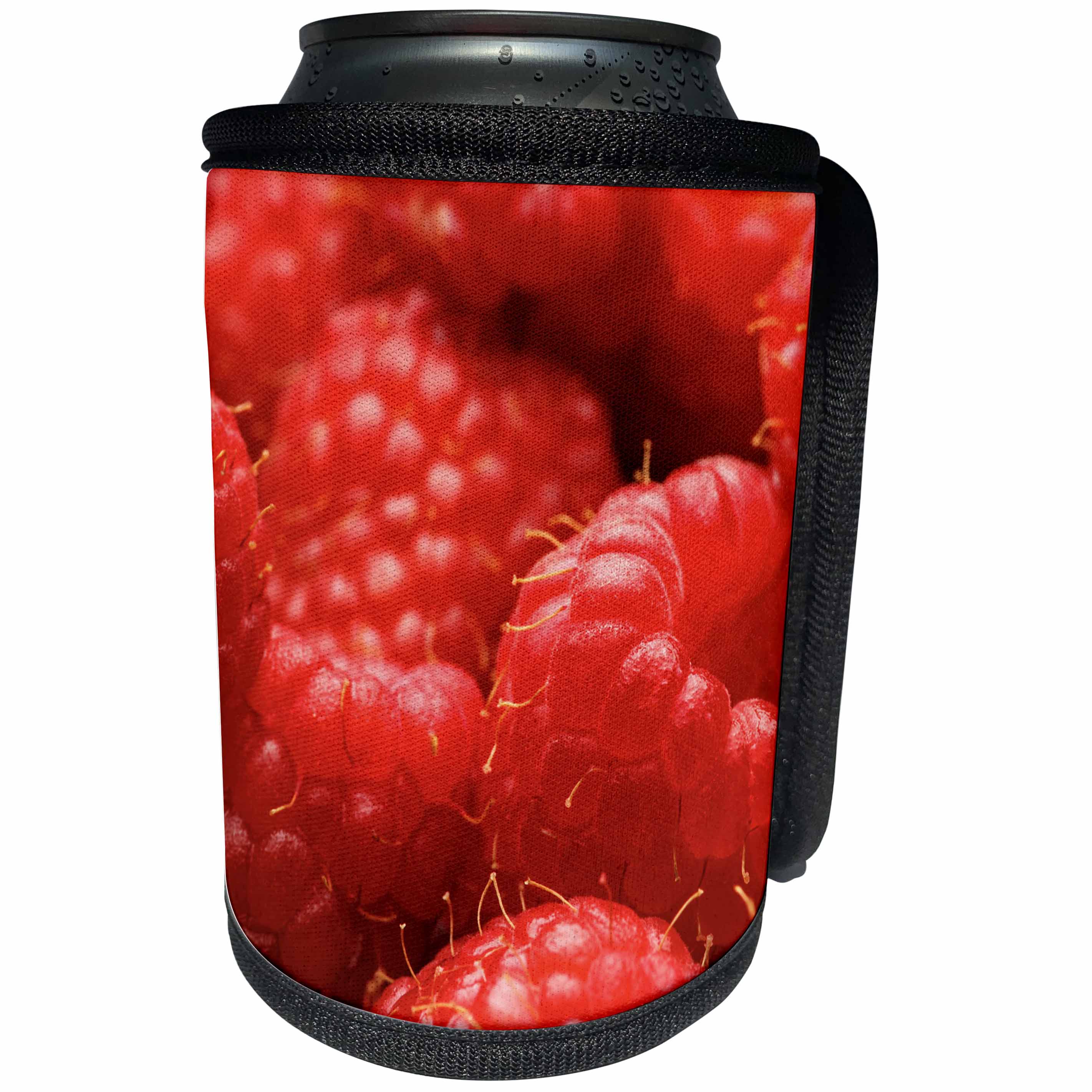 3dRose Danita Delimont - Fruit - Oregon, Keizer, locally grown raspberries. - Can Cooler Bottle Wrap (cc_251359)
