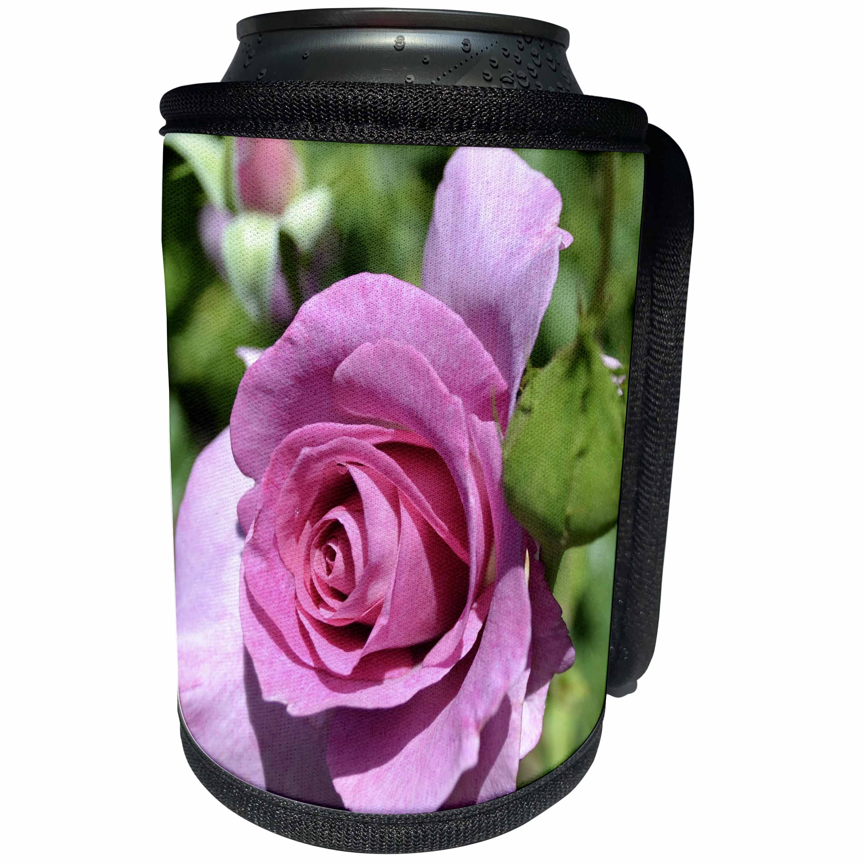 3dRose Patricia Sanders Flowers - Pink Rose III - Can Cooler Bottle Wrap (cc_25136)