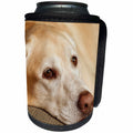 3dRose Danita Delimont - Dog - Oregon, Keizer, Labrador Retriever resting. - Can Cooler Bottle Wrap (cc_251367)