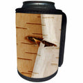 3dRose Danita Delimont - Oregon - Oregon, Keizer, peeling bark on a Paper Birch. - Can Cooler Bottle Wrap (cc_251376)