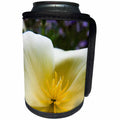 3dRose Danita Delimont - Poppy - Oregon, Willamette Valley, Close-up of White Poppy in Bloom - Can Cooler Bottle Wrap (cc_251382)