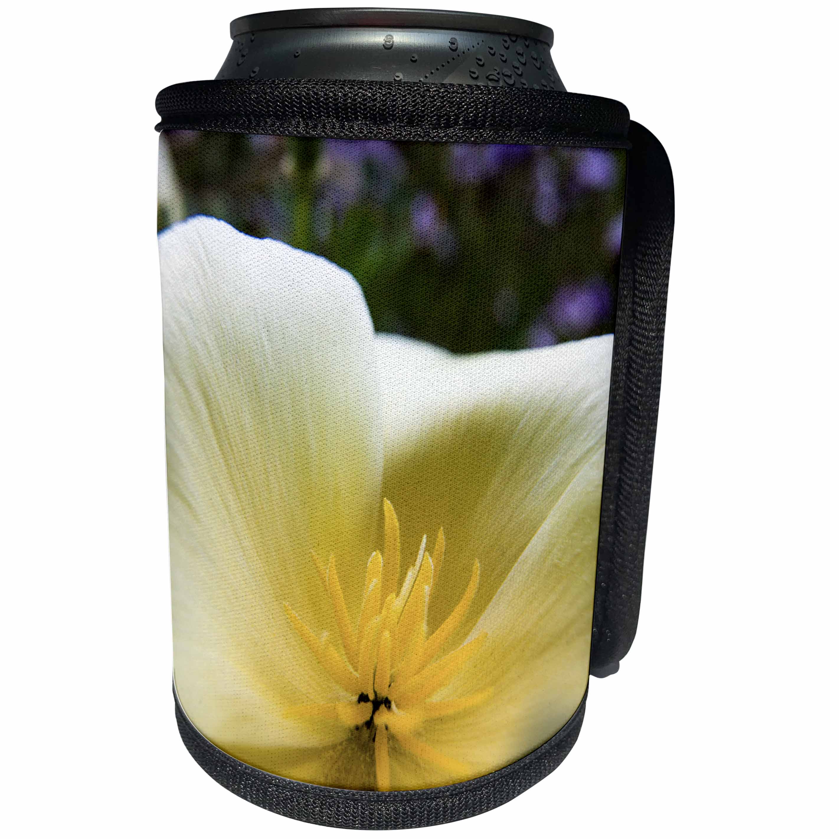 3dRose Danita Delimont - Poppy - Oregon, Willamette Valley, Close-up of White Poppy in Bloom - Can Cooler Bottle Wrap (cc_251382)
