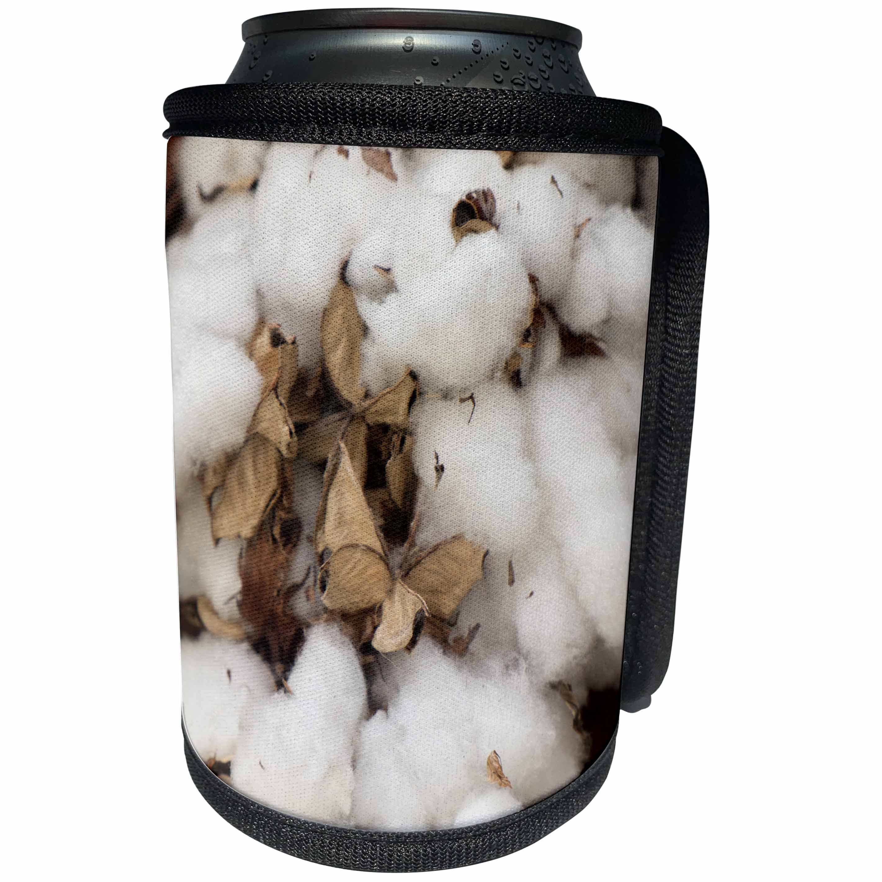3dRose Danita Delimont - Charleston - Raw cotton. Charleston, South Carolina, USA - Can Cooler Bottle Wrap (cc_251386)