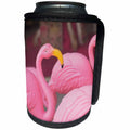 3dRose Danita Delimont - Flamingo - Plastic pink flamingos, Charleston, South Carolina. USA - Can Cooler Bottle Wrap (cc_251389)