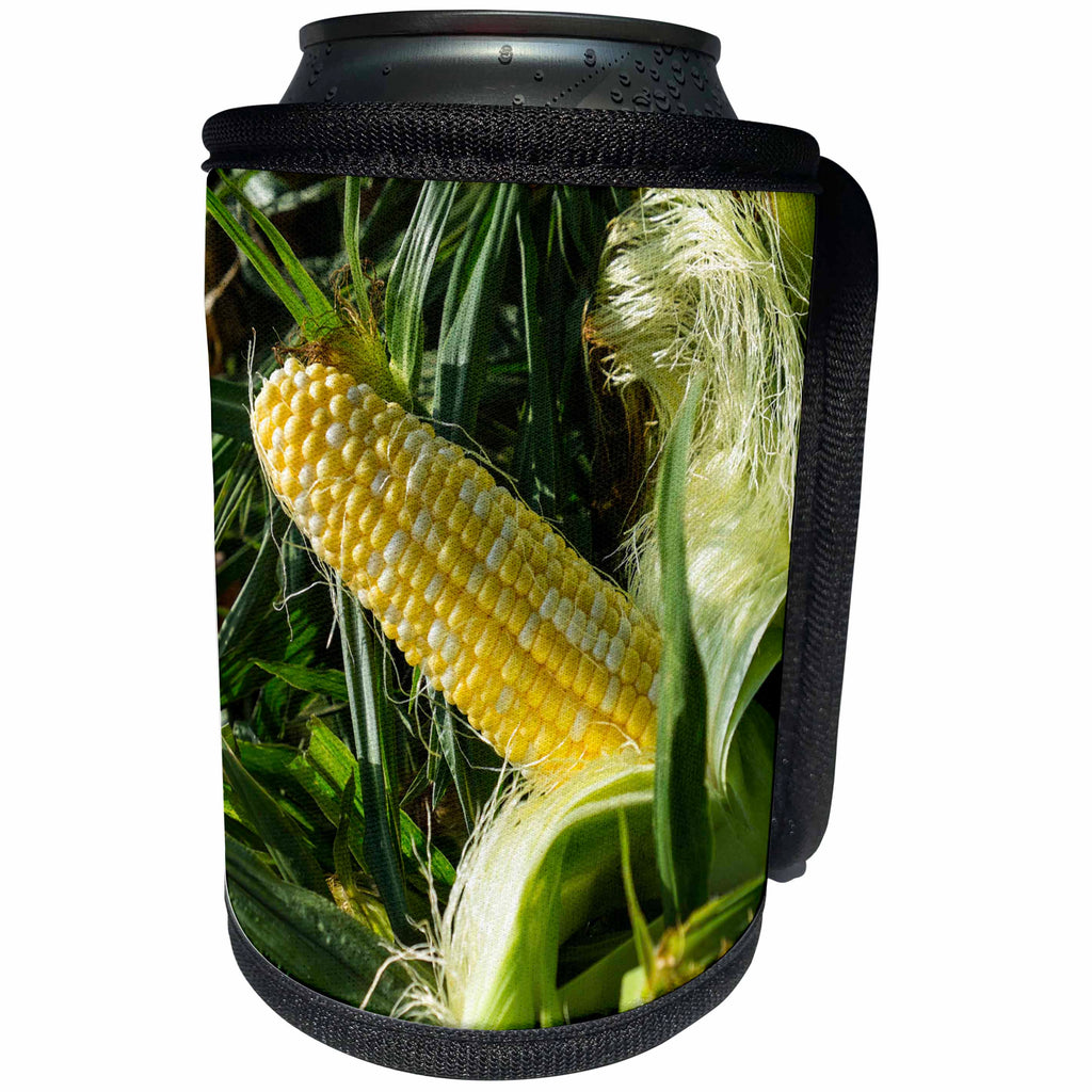 3dRose Danita Delimont - Corn - Corn for sale at a farmers market, Charleston, South Carolina. USA - Can Cooler Bottle Wrap (cc_251390)