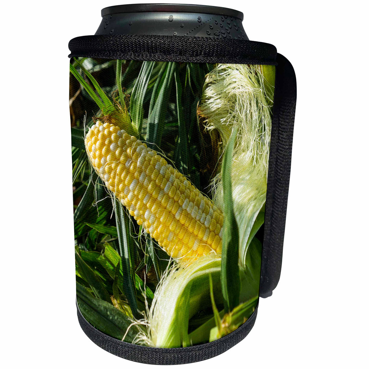 3dRose Danita Delimont - Corn - Corn for sale at a farmers market, Charleston, South Carolina. USA - Can Cooler Bottle Wrap (cc_251390)
