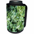 3dRose Danita Delimont - Vegetable - Kale for sale at a farmers market, Charleston, South Carolina. USA - Can Cooler Bottle Wrap (cc_251394)