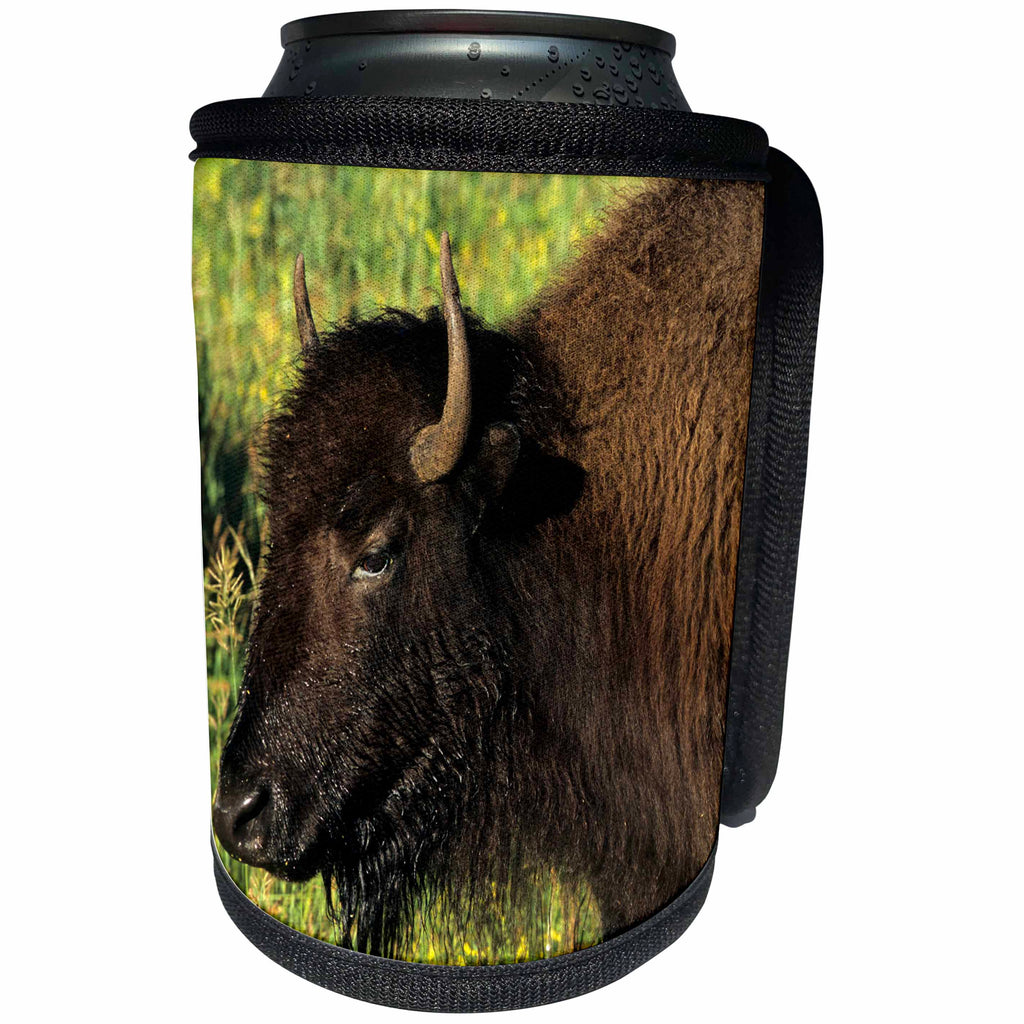 3dRose Danita Delimont - Bison - Bison, Custer State Park, South Dakota - Can Cooler Bottle Wrap (cc_251398)